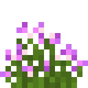 魔戒（The Lord of the Rings Mod）-帚石楠.png