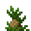 潘马斯农场（Pam's HarvestCraft）-热带菜园.png