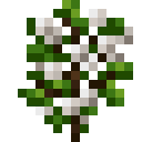 潘马斯农场（Pam's HarvestCraft）-纺织果园.png