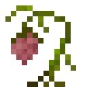 额外植物学（ExtraBotany）-死之花.png