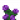 紫芙蓉