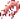生虾