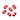 红豆