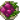 烤甜菜
