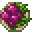 潘马斯农场（Pam's HarvestCraft）/烤甜菜