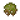 洞穴苔藓丛