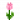 粉色荧光花