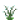 ？