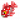 红杉鱼