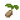 种子