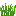虚无世界3（Advent of Ascension 3）-Lucon Grass.png