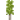 ？