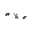 更多实用设备2（Extra Utilities2）/Opinium核心（激动人心的）