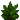 绿色花