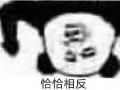 恰恰相反.jpg