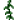 藤蔓