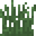 原版-草.png