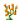 橙色荧光花