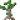 红树树苗
