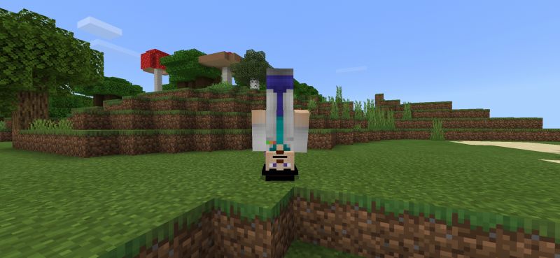 文件:Dinnerbone.jpg
