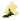荨麻花