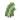 黄麻