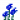 蓝色荧光花