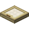 原版-白桦木活板门.png
