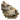 生蚝