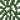 蛇舌藤