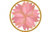 樱（Sakura）封面.jpg