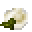 潘马斯农场（Pam's HarvestCraft）/生豆腐鸡蛋