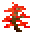 樱（Sakura）/树苗