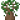 ？