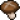 香菇