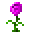 植物魔法（Botania）/阿卡纳蔷薇