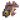 生鲤鱼