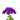 紫色荧光花