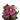 粉色花