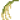 水稻