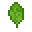 潘马斯农场（Pam's HarvestCraft）/菠菜