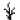 ？