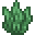 潘马斯农场（Pam's HarvestCraft）/海草