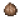荸荠