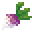 潘马斯农场（Pam's HarvestCraft）/芜菁甘蓝