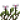 沼泽豆