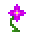 植物魔法（Botania）/品红色神秘花