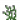 淡灰色荧光花