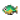 生鲈鱼