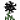 黑色荧光花